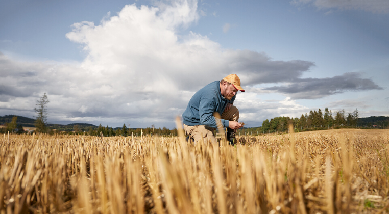 Un agriculteur dans un champ de blé