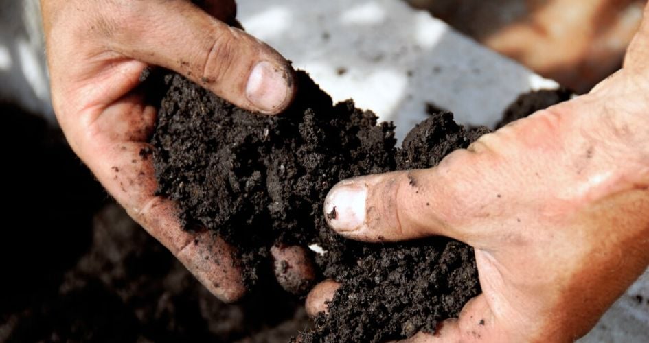 Un agriculteur tient de la terre dans ses mains