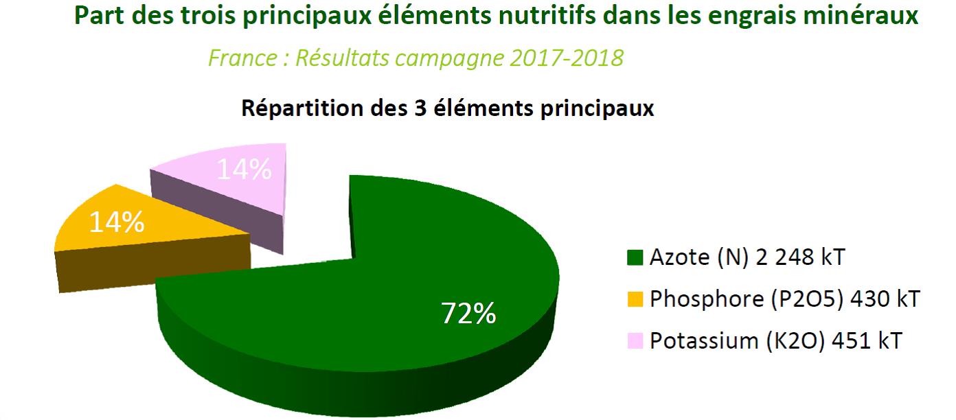 Fertilisation azotée : atout rendement et qualité